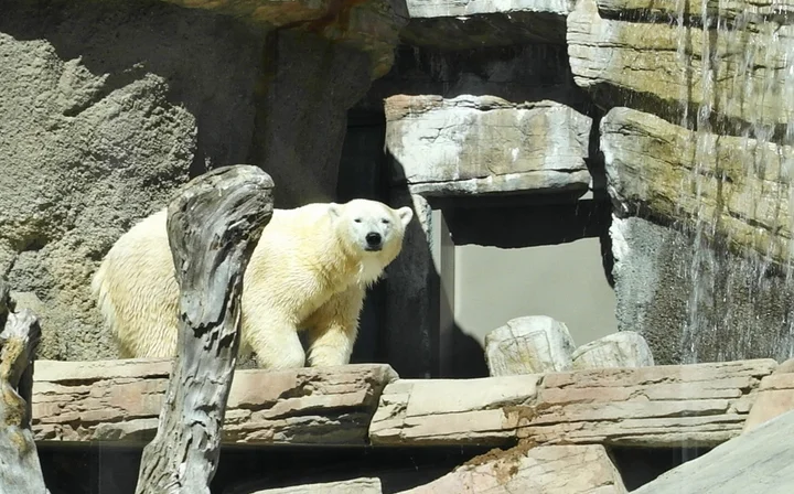 Northern Frontier in San Diego | What to Know Before You Go