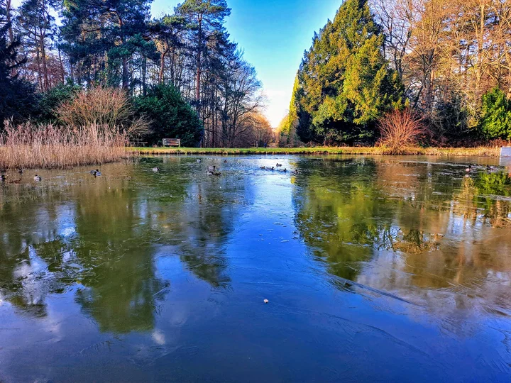 Brandon Country Park in Brandon, England - Ask AI | mindtrip