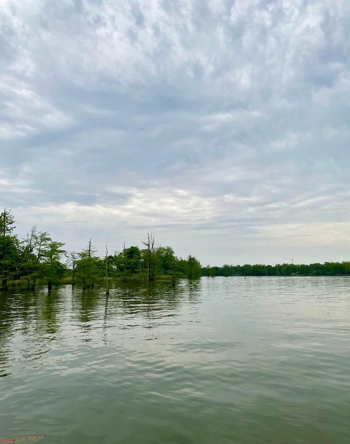 Lake Concordia in Ferriday, Louisiana - Ask AI | mindtrip