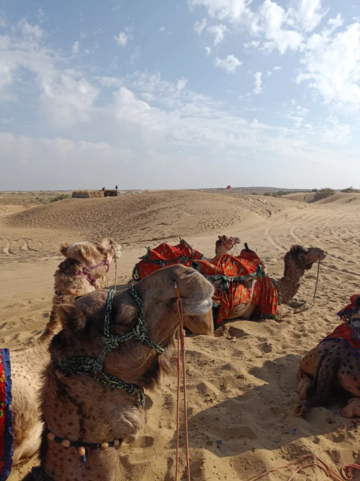 Camel Ride Point in Sam | What to Know Before You Go