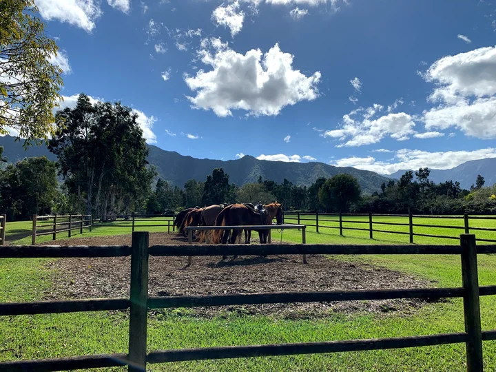 Silver Falls Ranch in Kilauea, Hawaii - Ask AI | mindtrip