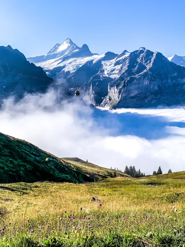 First Mountain Cart | What to Know Before You Go