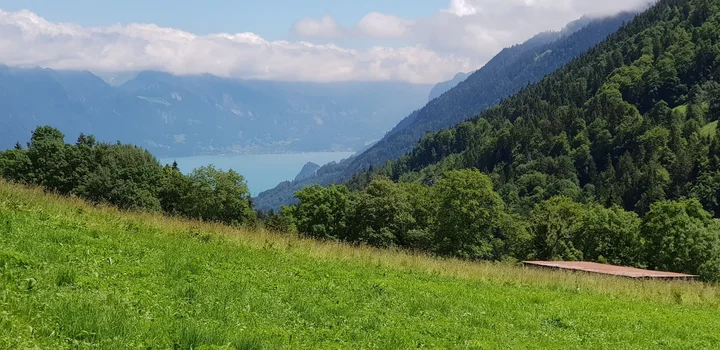 Saxetenbach Gorge in Saxeten | What to Know Before You Go