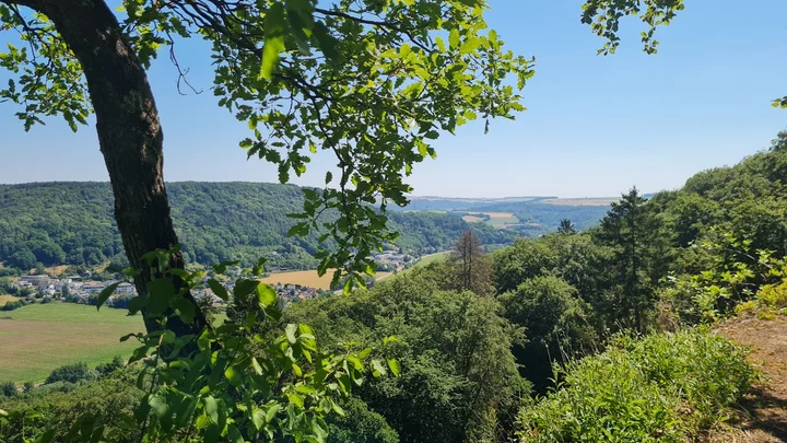 Cactus Echternach in Echternach - Ask AI | mindtrip