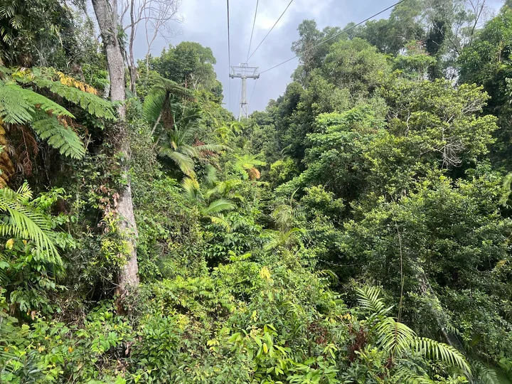 Edge Lookout in Kuranda, Queensland | Ask Anything