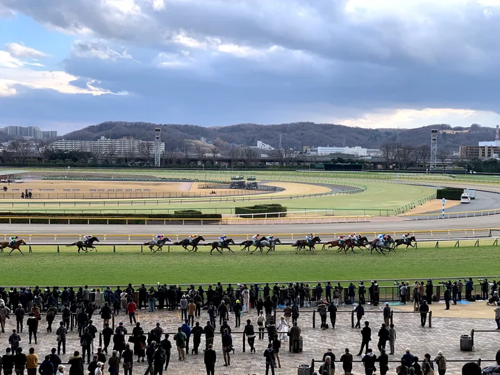 JRA Tokyo Racecourse in Fuchu, Tokyo - Ask AI | mindtrip