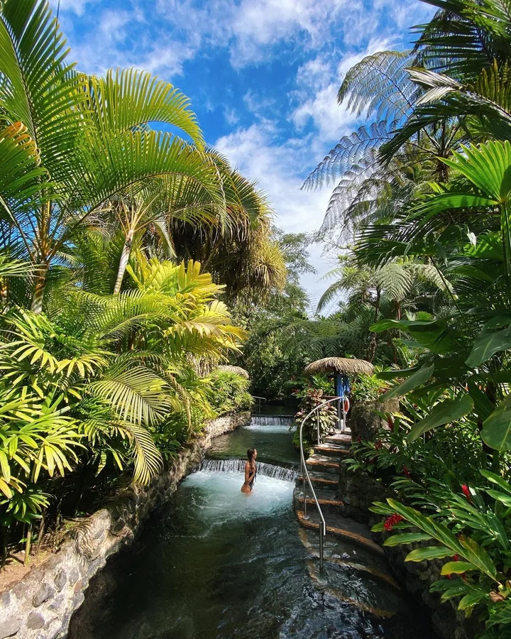 Tabacon in Palma, Provincia de Alajuela - Ask AI | mindtrip