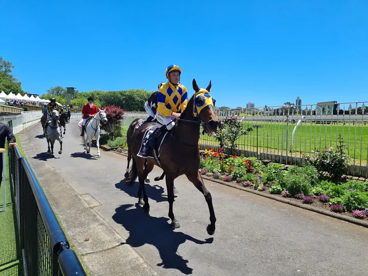 Ellerslie Racecourse in Auckland | Ask Anything