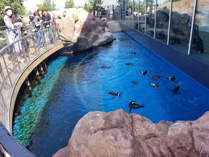 Joetsu Aquarium Umigatari | What to Know Before You Go