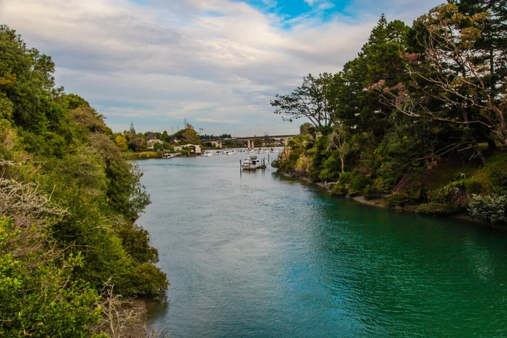 Panmure Basin in Panmure, Auckland - Ask AI | mindtrip