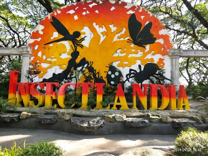 Insectlandia in Mabalacat, Central Luzon - Ask AI | mindtrip