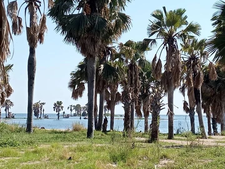 Butiaba landing site in Western Region - Ask AI | mindtrip