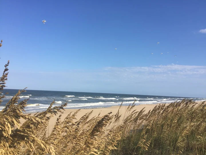 Sandbridge Beach in Virginia Beach, Virginia | Ask Anything