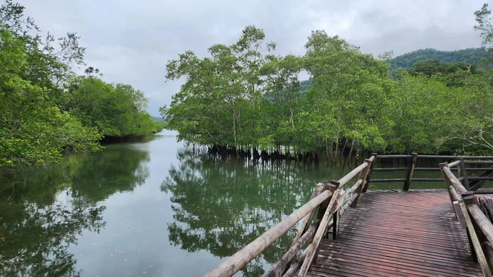 Parque Nacional Natural Utría in Choco | Ask Anything