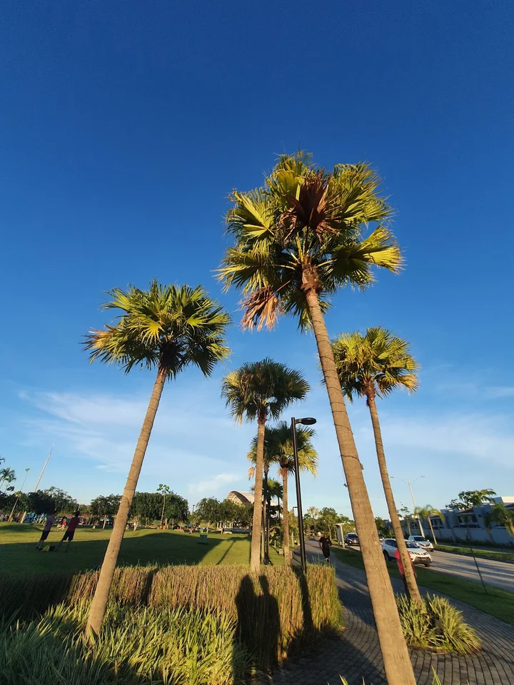 Parque RACH in San Miguelito | What to Know Before You Go