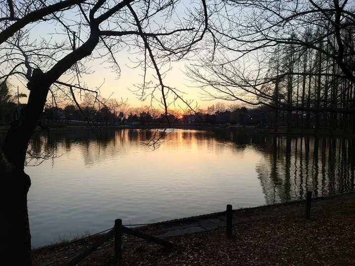 Kitamoto General Park | What to Know Before You Go