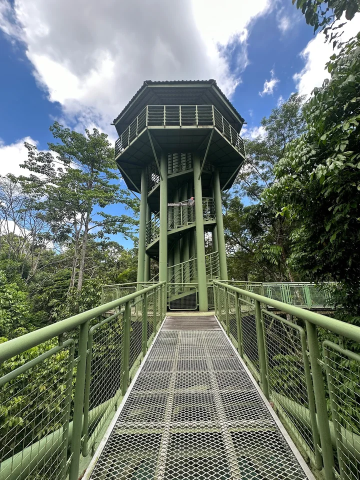 Rainforest Discovery Centre (RDC) - Ask AI | mindtrip