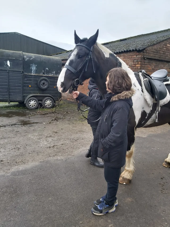 Cheshire Riding School in Northwich - Ask AI | mindtrip