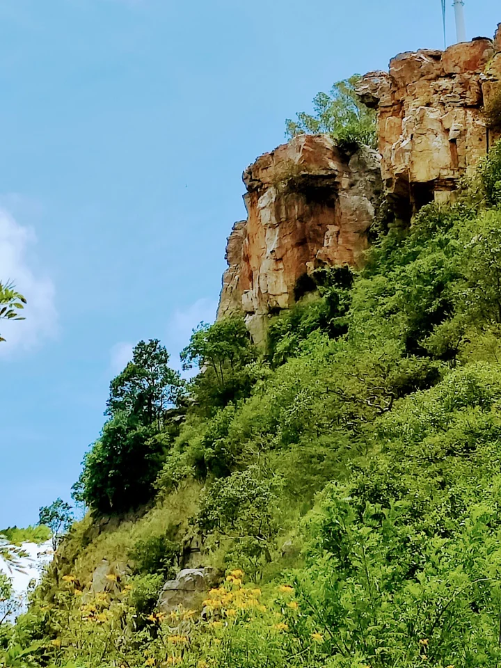 Tirumala Tirupati Devasthanams - Ask AI | mindtrip