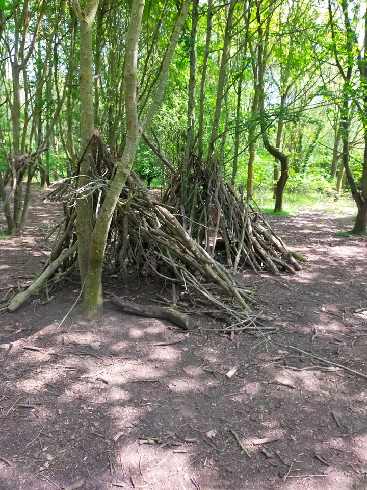 Somersham Nature Reserve in Somersham - Ask AI | mindtrip