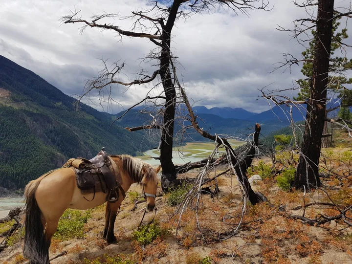 Chilcotin Holidays Guest Ranch | What to Know Before You Go