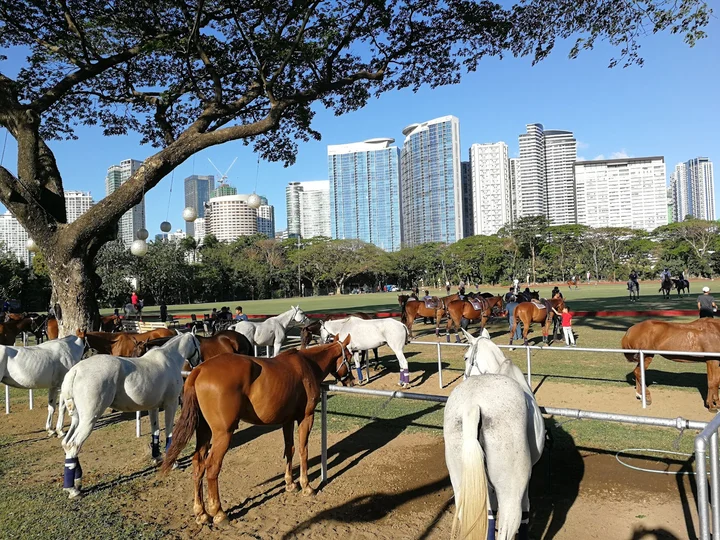 manila polo club dress code The 2019 Polo Attendee Dress Code | by PoloWeekly