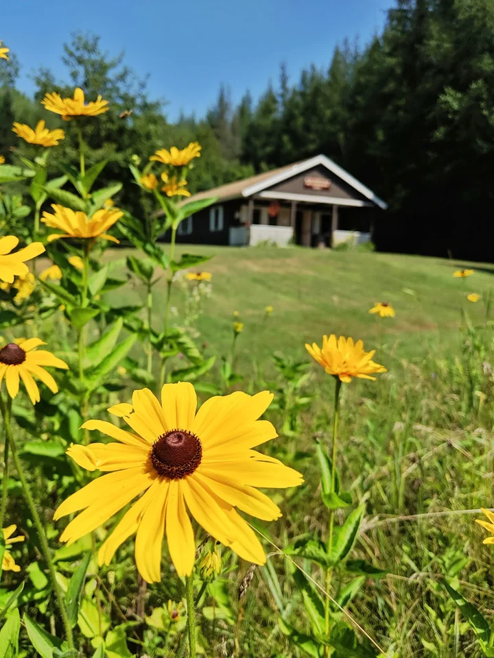 The Groton Nature Center | What to Know Before You Go