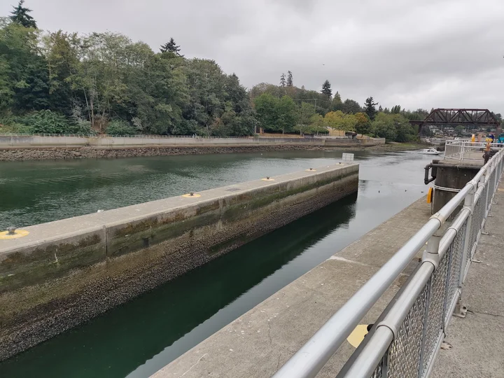 Ballard Locks Fish Ladder in Seattle - Ask AI | mindtrip