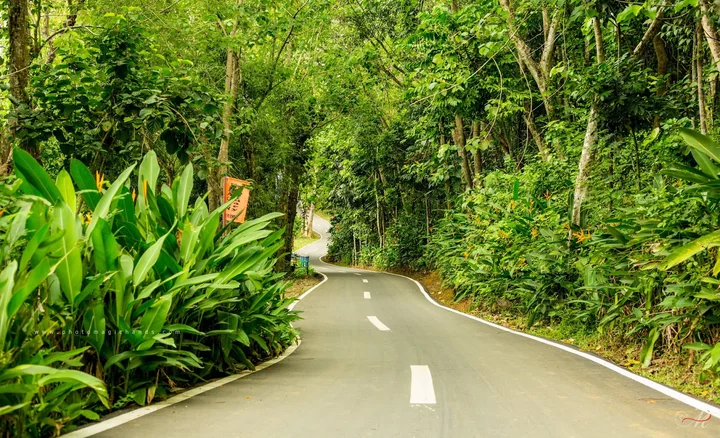 Ilagan Sanctuary in Ilagan - Ask AI | mindtrip