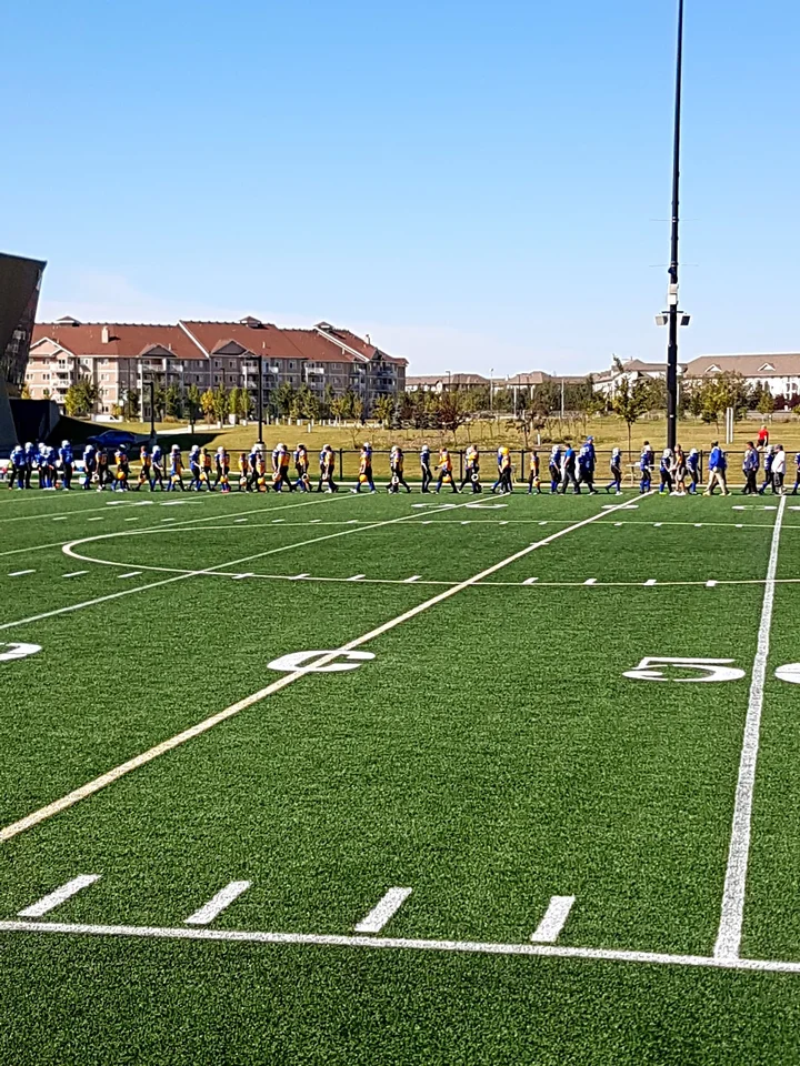 Clareview Artificial Field Turf in Edmonton | Ask Anything