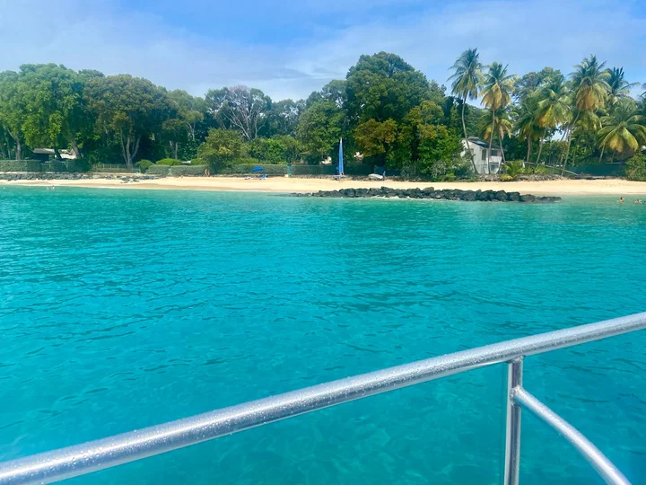 Tiami Catamaran Cruises | What to Know Before You Go