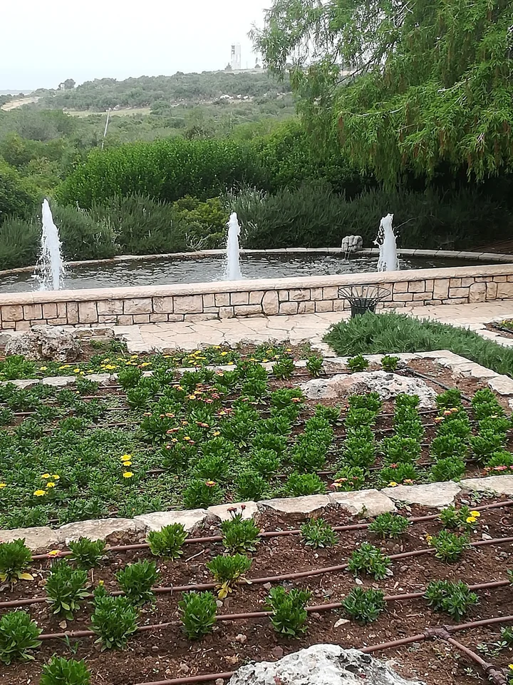 Dimona Theater in Dimona | What to Know Before You Go