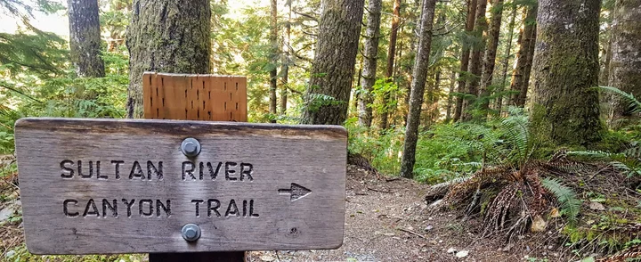 Sultan River Canyon Trail in Sultan | Ask Anything