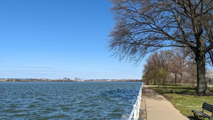 Hains Point in Washington DC | What to Know Before You Go