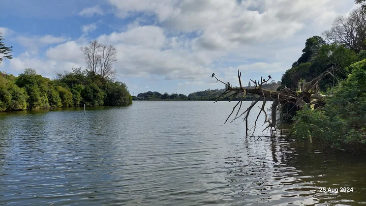 Orakei Basin in Auckland - Ask AI | mindtrip