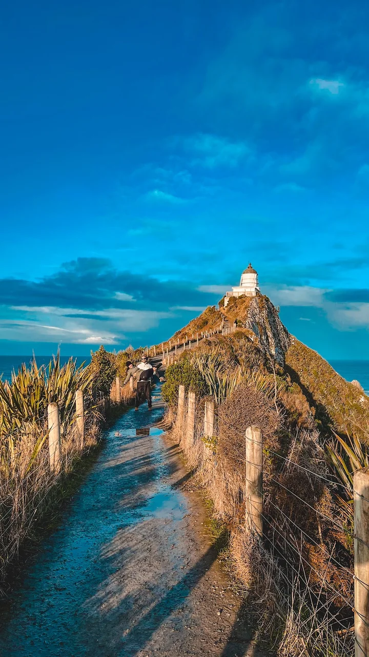 Kaka Point Scenic Reserve in Kaka Point | Ask Anything
