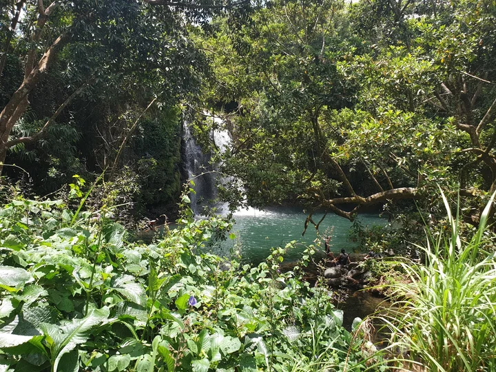 Minissy Waterfall in Moka, Moka District - Ask AI | mindtrip
