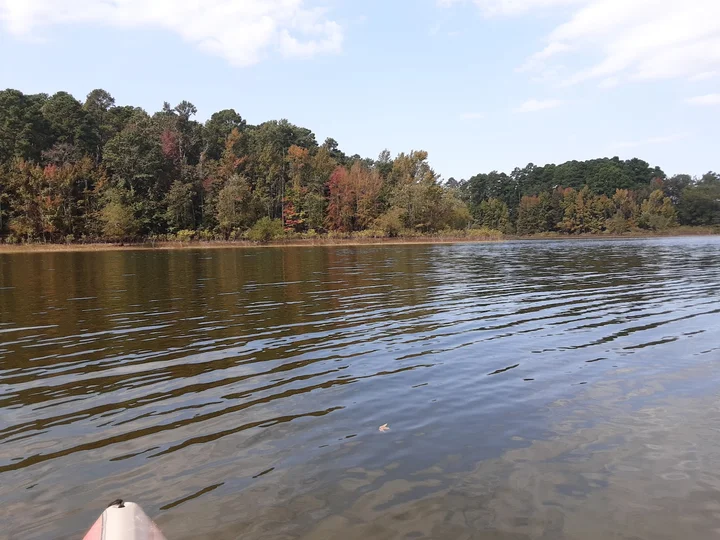 Alpine Ridge Recreation Area | What to Know Before You Go