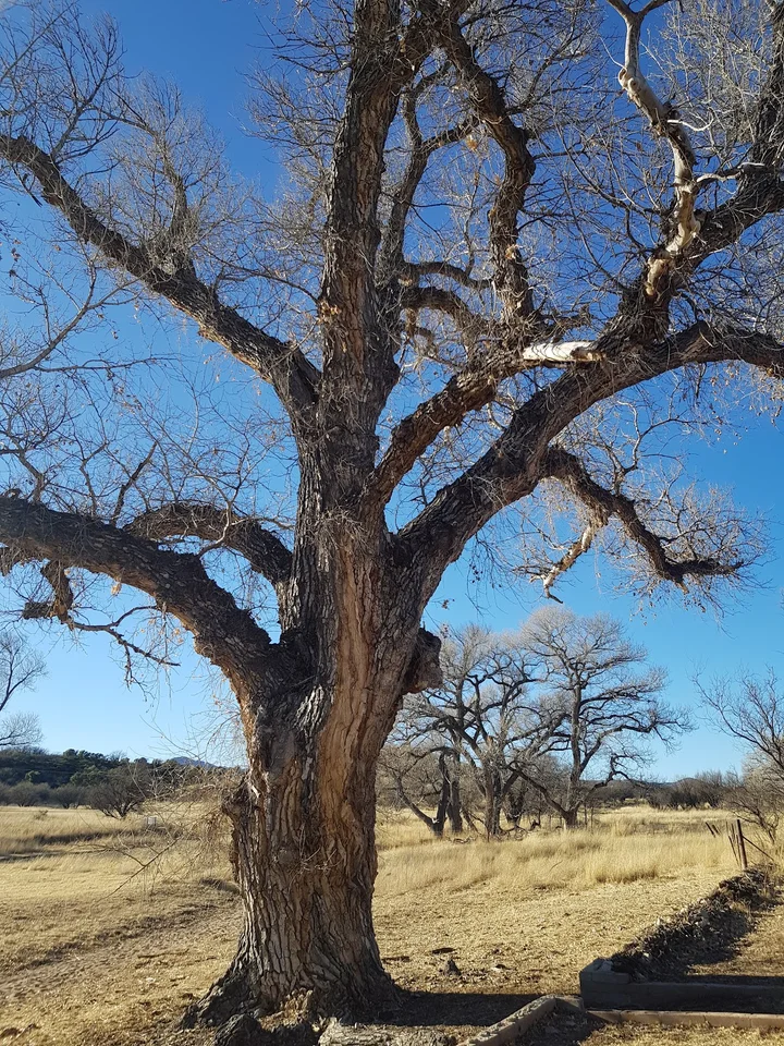 San Rafael Ranch in Patagonia | What to Know Before You Go