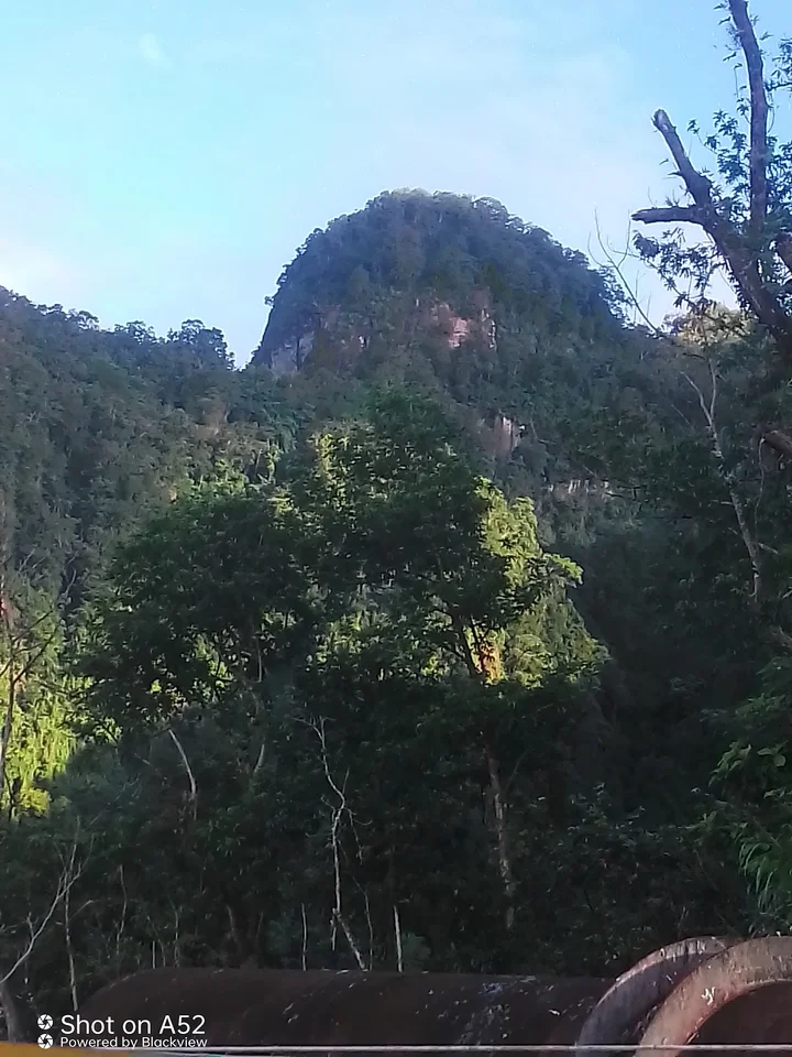 Peace Park in Arawa | What to Know Before You Go