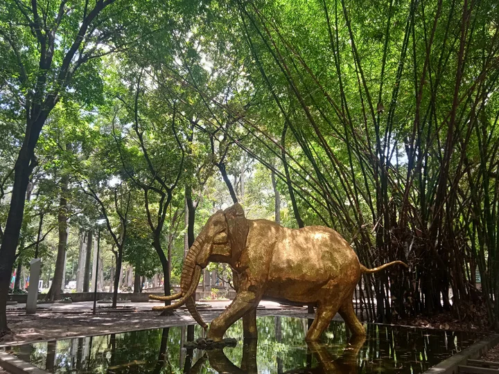 Los Caobos Park in Caracas | What to Know Before You Go