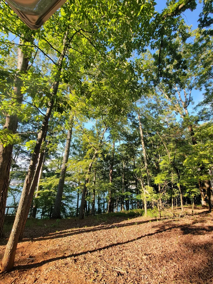 Red Top Mountain State Park Campground