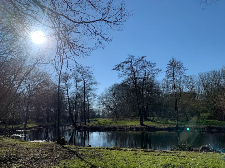 Gaasperpark in Driemond, North Holland - Ask AI | mindtrip