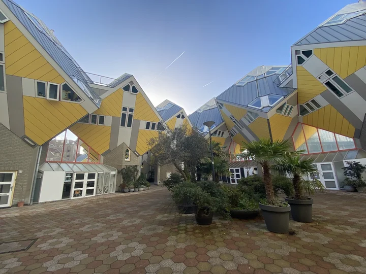 Danny de Cactus in Rotterdam | What to Know Before You Go