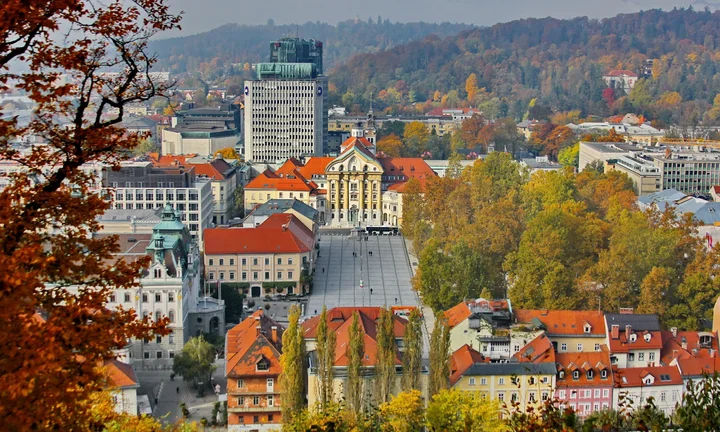 Monstera Bistro in Ljubljana | Is it Good?