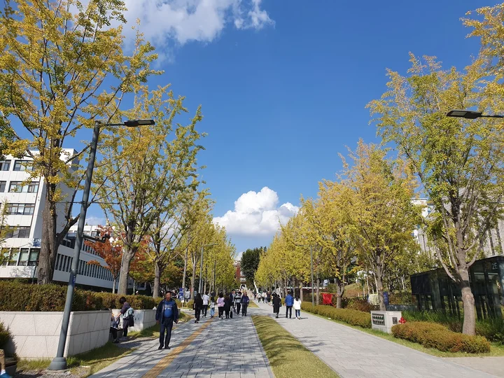 Yonsei University Central Library