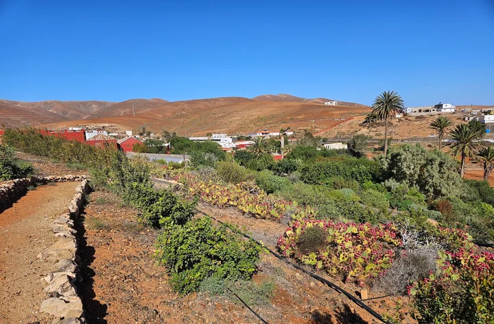 Verdeaurora Bio Farm - Aloe Vera Fuerteventura
