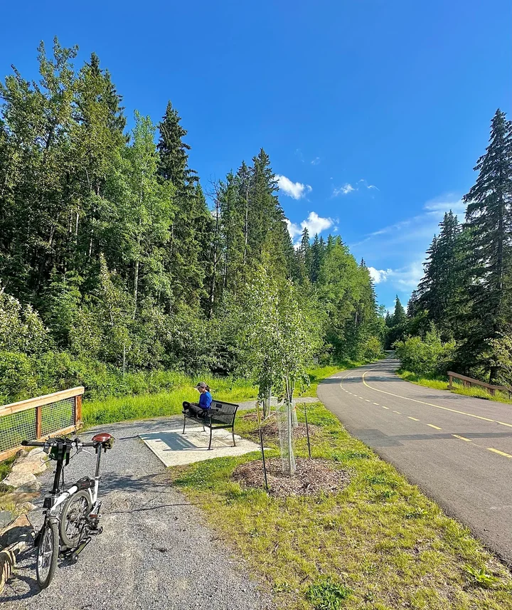 Wedgewood Ravine in Edmonton | What to Know Before You Go