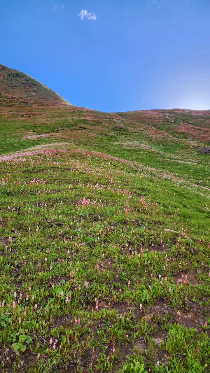 Supat Valley Kohistan - Ask AI | mindtrip