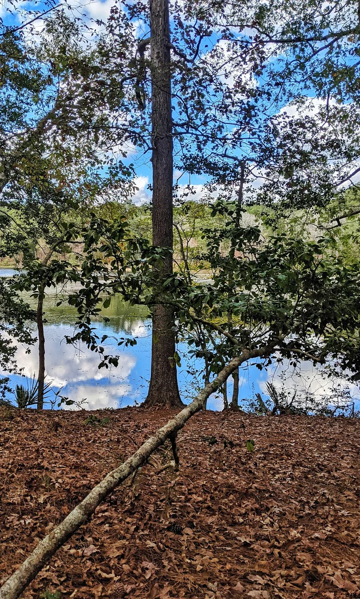 Lake Raven in New Waverly, Texas - Ask AI | mindtrip